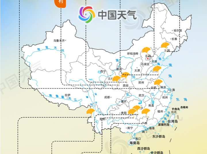 收藏！全国银杏观赏地图来了