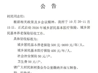 湖北孝感一乡镇每户要收50元“社会治安保险费”？当地回应：自愿原则｜有料