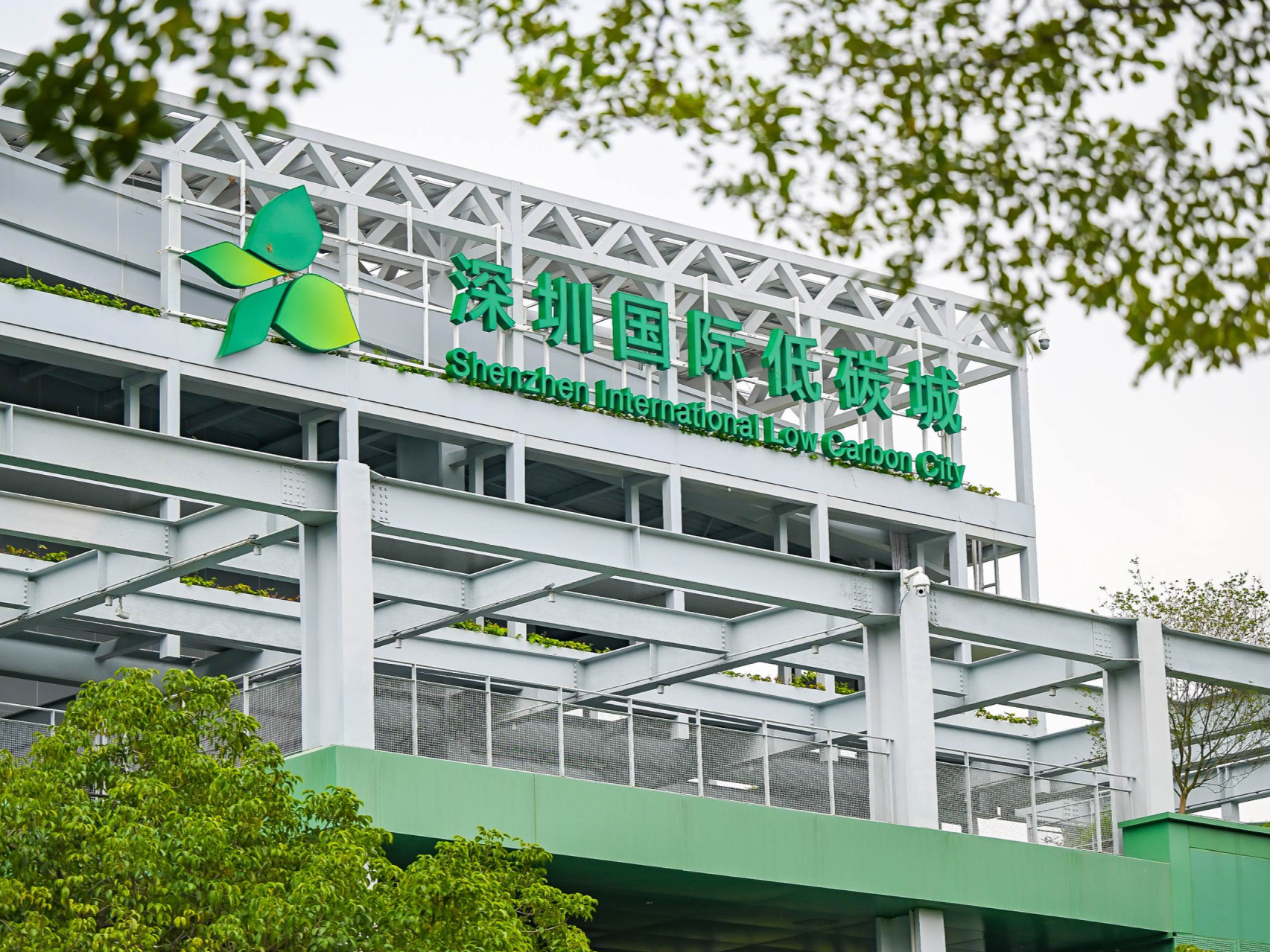 AI如何重塑绿色未来？答案尽在深圳国家低碳城论坛