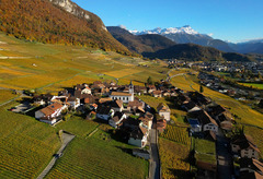 （外代一线）（1）欧洲的秋