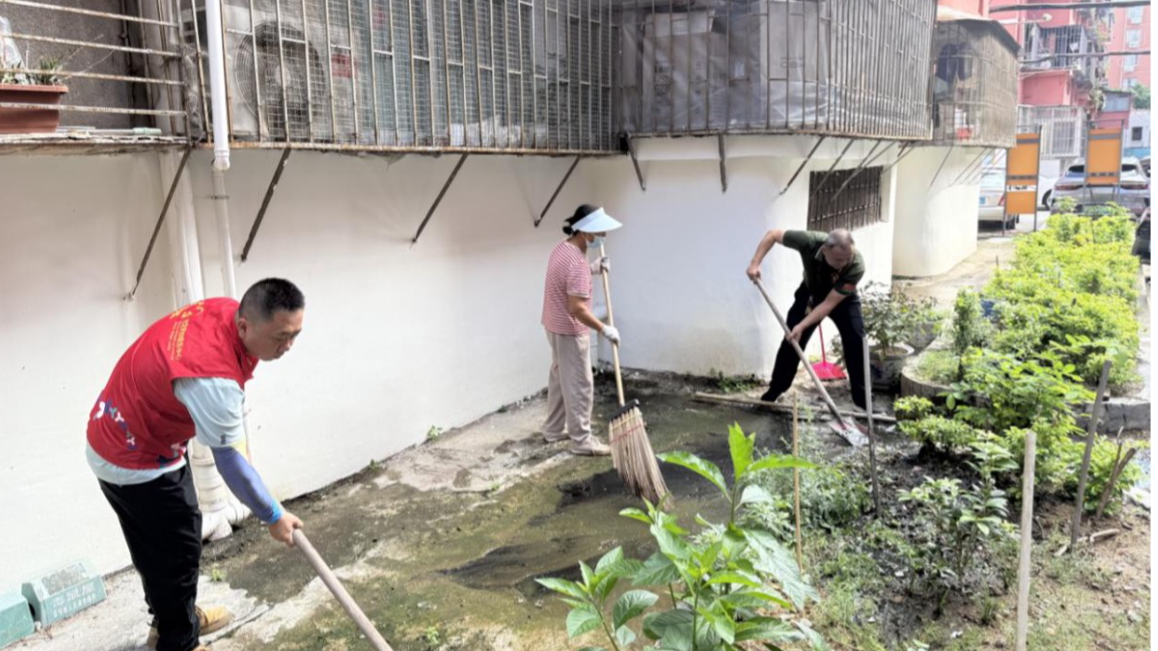 全力防控“两热”！新安上川社区党群联动守护健康家园