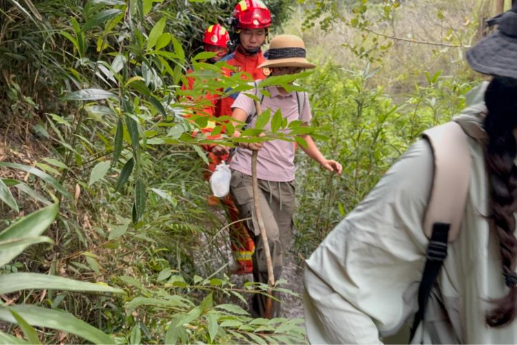 10月以来五桂山接17起登山险情！消防员紧急提醒：勿做“爬山小白”
