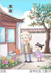 （图表·漫画）二十四节气·寒露｜赏菊