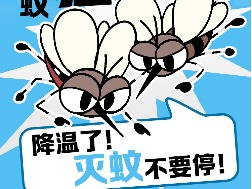 海报｜秋蚊“猛如虎”！降温了，灭蚊不要停！