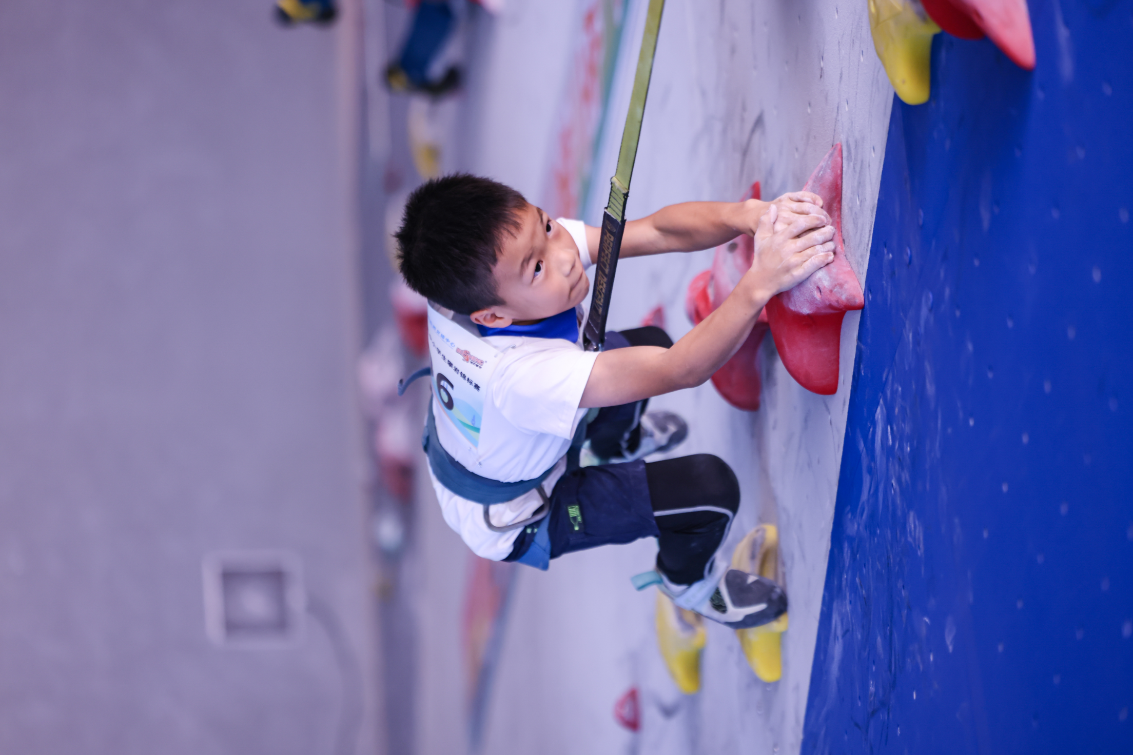 少年深圳集结!2025广东大中小学生攀岩锦标赛决出冠军