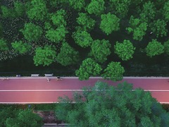 追光｜走出家门 来探探身边的环城绿道！