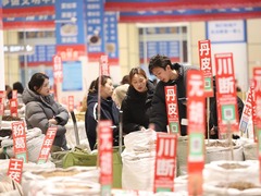 聚焦高质量发展丨从“洼地”到“高地”，药都亳州何以跃迁？