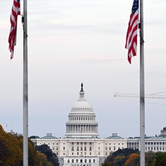 英国一评论员因批以言论在美被吊销签证并逮捕