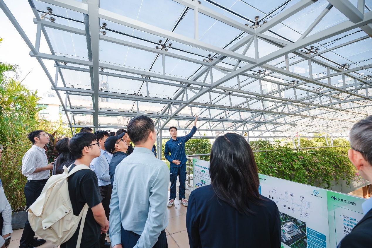 绿动深港，共碳湾区：深圳供电局以绿色能源对话助力湾区可持续发展