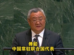 美在加沙问题上一再滥用否决权 中国代表：深表失望和遗憾