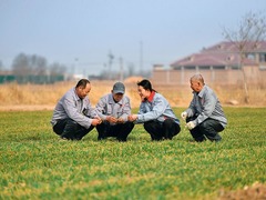 瞭望 | 盐碱地上开出特色农业之花