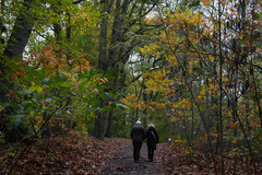 （外代二线）（2）欧洲秋日