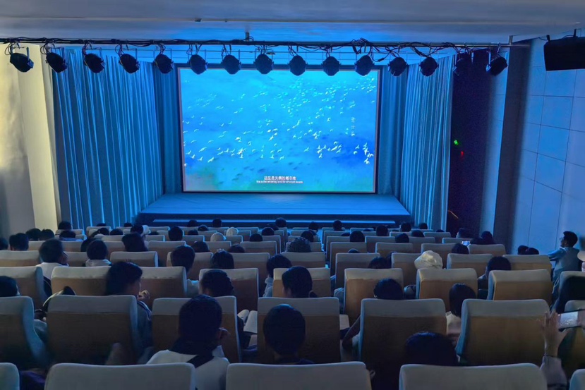导演孙宁在龙华图书馆开讲自然纪录片里的“生命课”