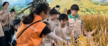 55组“候鸟家庭”畅游大鹏