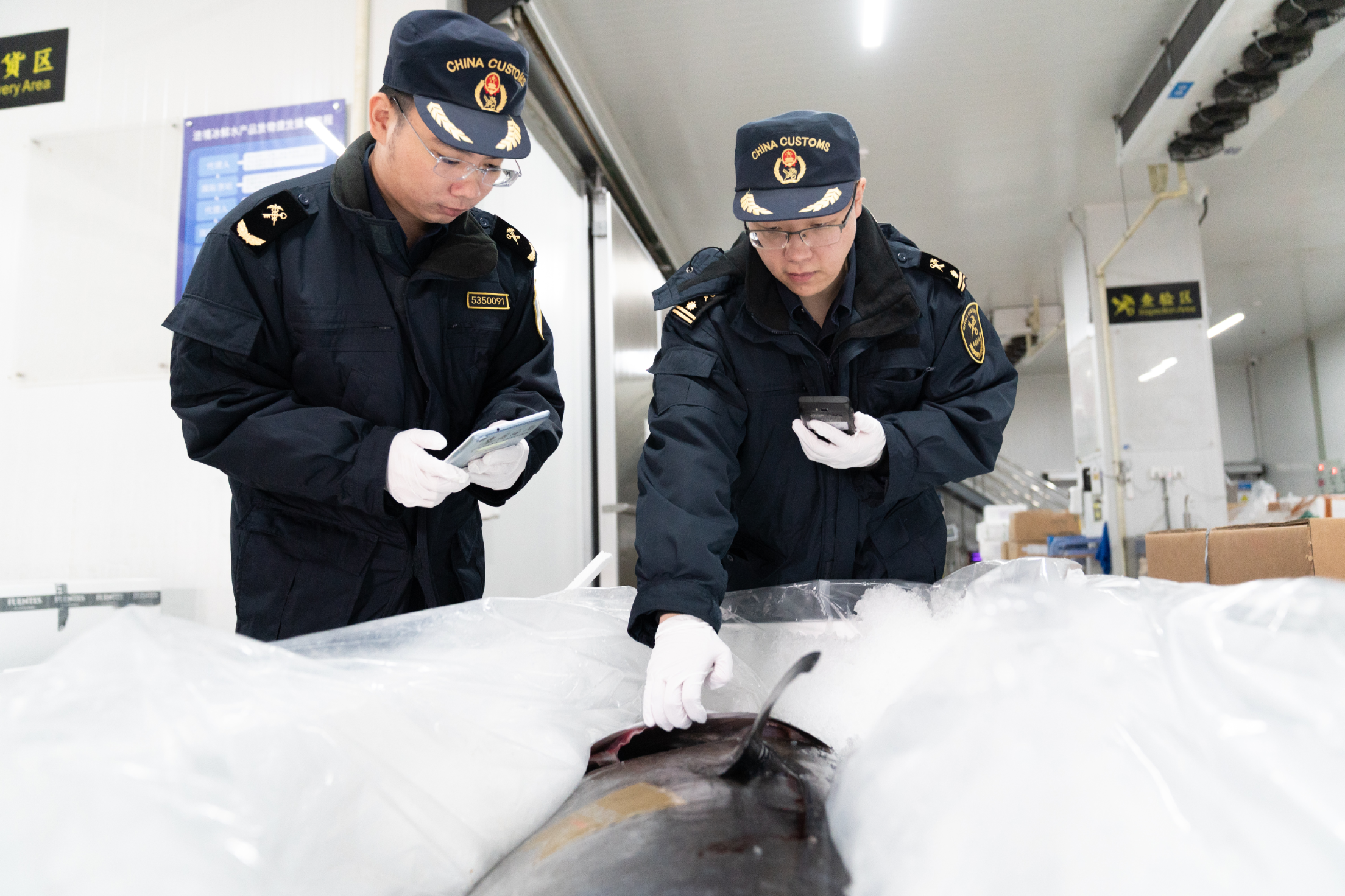 今年前10个月深圳对西班牙进出口货值达249.1亿元