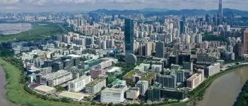 魏建国:高水平对外开放,“高”在什么地方