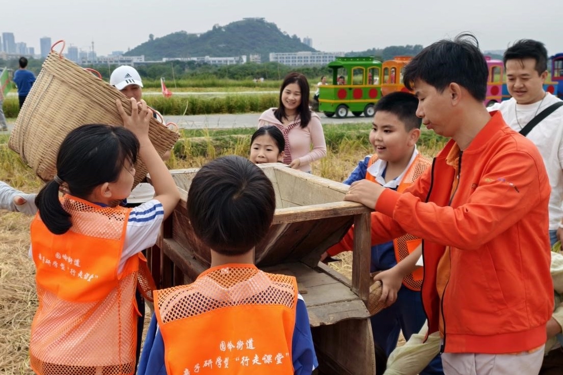 稻田里的“行走课堂”!园岭街道亲子农耕研学践行“气候担当”