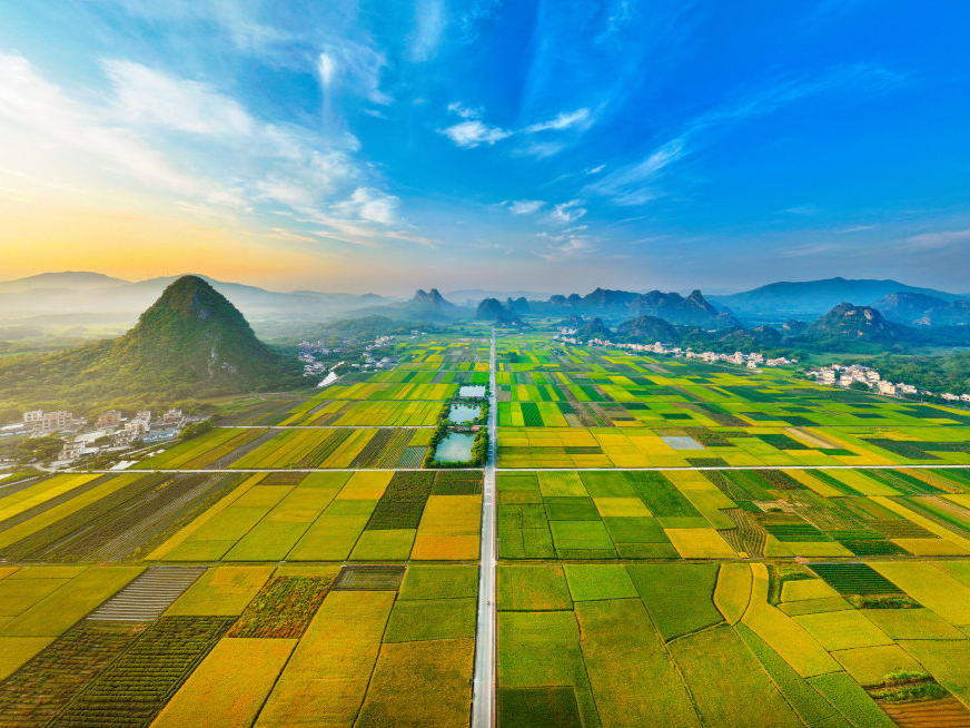 以全面深化改革激发新动能——广东实施“百千万工程”破解区域协调的发展难题纪实（中）