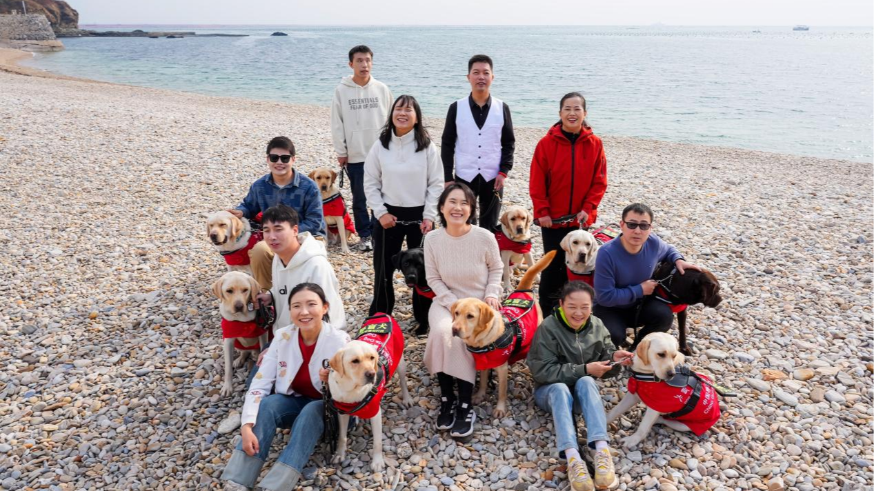 雾芯科技发起导盲犬伙伴计划 首批10只交付助力视障人士出行