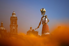 墨西哥城宪法广场大型祭坛迎接亡灵节（4）