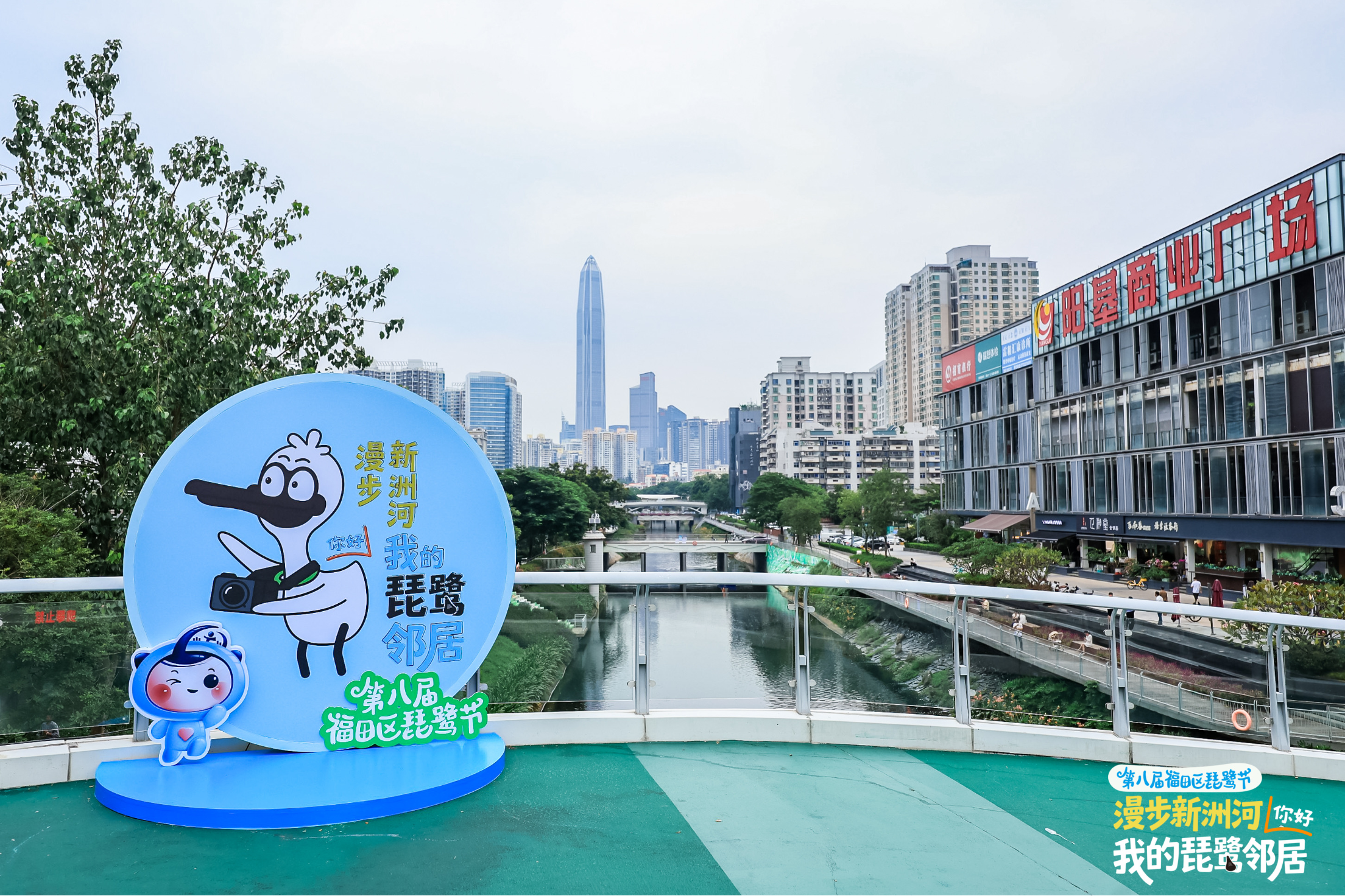 生态IP“飞”入都市圈!新洲河畔“琵鹭派对”点亮滨水生活