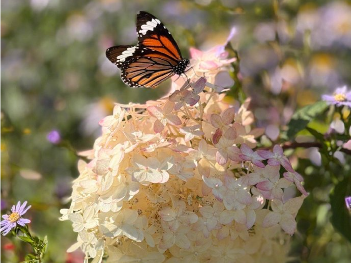 温度记 | 太阳继续唱“晴”歌，晾晒出行好天气！秋燥明显，深圳er请多补水