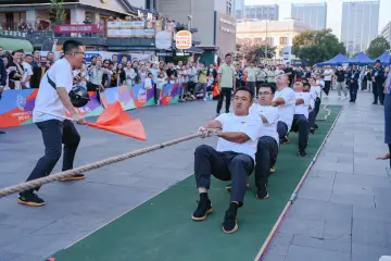 3000+场次见证热爱！2025“文体四季·YUE动龙华”社区运动会落幕