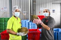 新华全媒头条｜以中国式现代化新成就为亚太和世界提供新机遇——习近平主席重要讲话为共建开放型亚太经济指引方向汇聚力量（1）