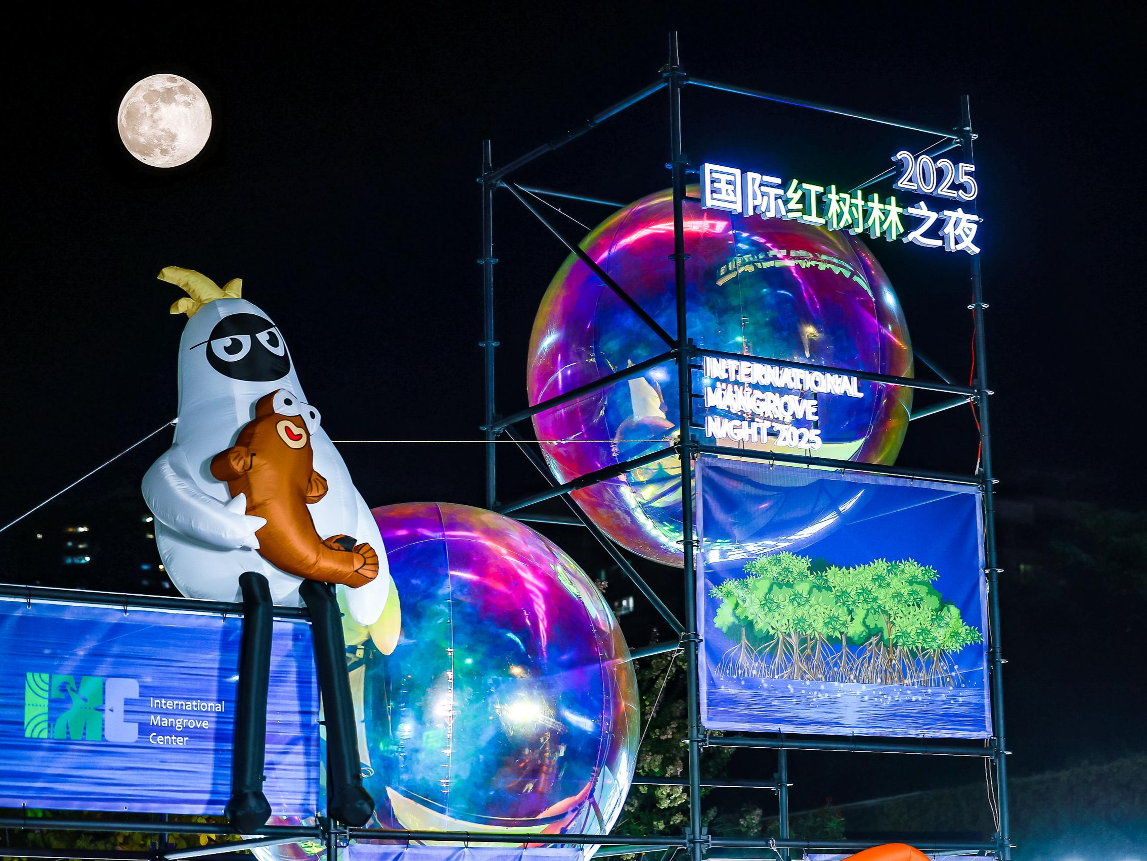 来!漫步2025国际红树林之夜,共赴“红树林+”生态盛会