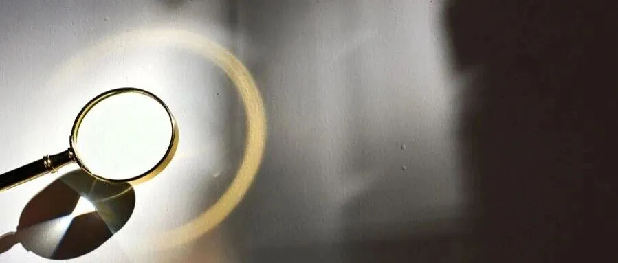 疯狂的白菜：多方失守的流量闹剧