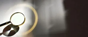 疯狂的白菜:多方失守的流量闹剧