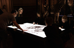 柏林：博物馆里的科学“校园”（9）