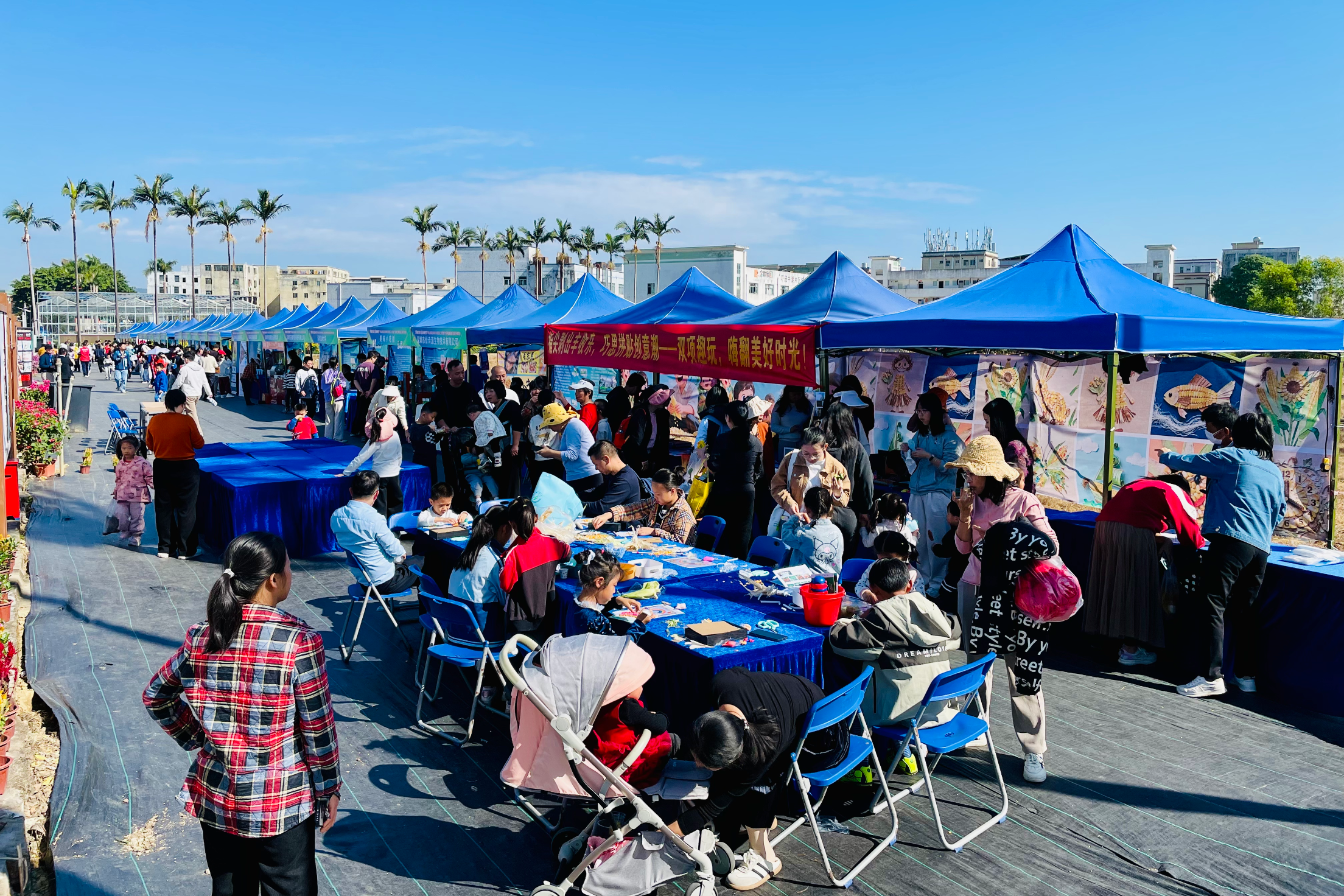 深圳坪山首届“玉米新农荟”精彩启幕