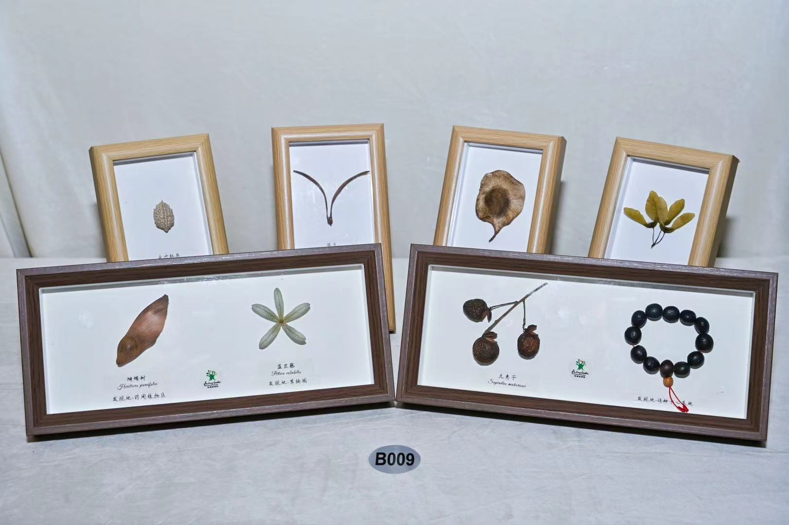 （替换见报）深圳公园文创获多项全国大奖  千园之城有了可收藏的城市记忆