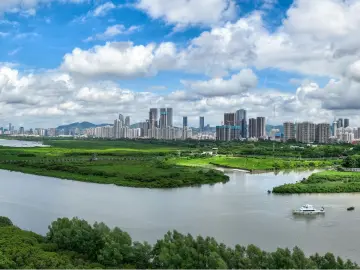 深圳勇担使命加快打造城市文明典范