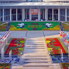 进博会今日开幕，各国展商有哪些新期待？