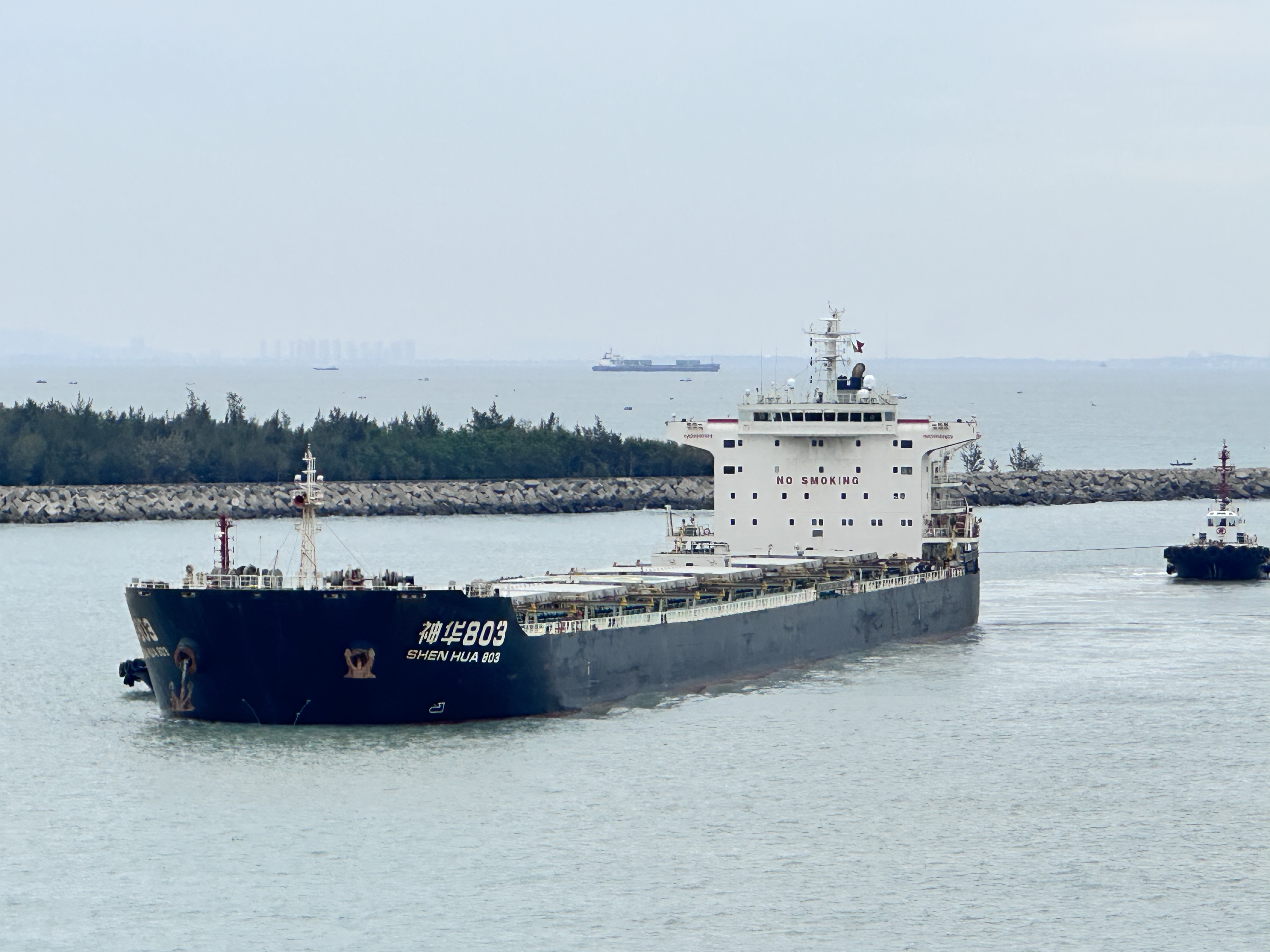 迎“寒”而上！汕尾边检站保障所辖电厂进口煤炭总量突破1200万吨