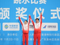 广东队拿下十五运会跳水第三金 王宗源称雄男子1米板
