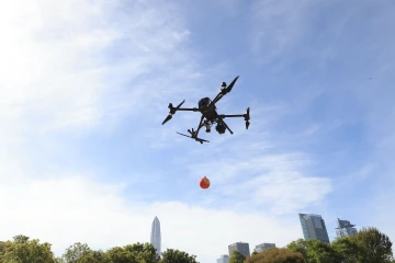 美丽深圳·每日一图｜2025年12月1日