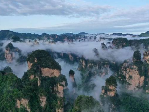 “山水旅游第一股”，求救
