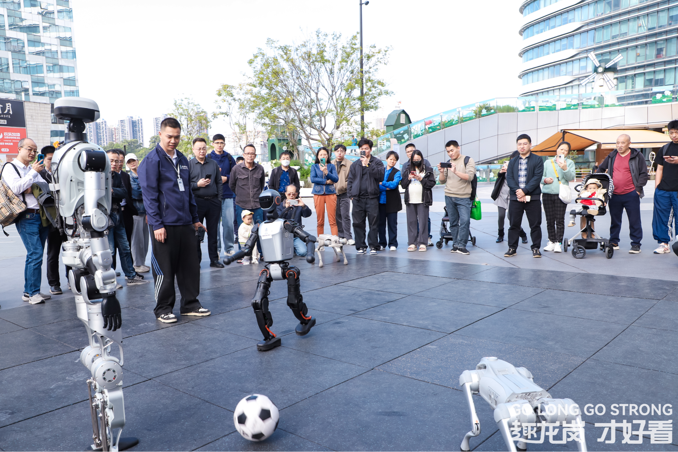 龙岗场景行｜龙岗的“鸿蒙之约”：一场人才与未来的双向奔赴