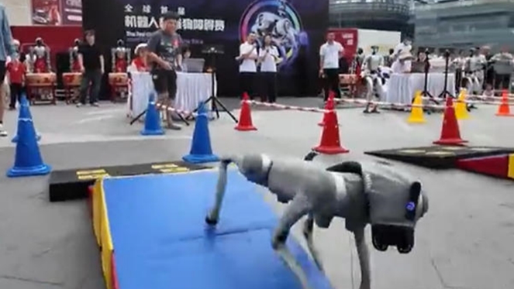 首屆機器人機器狗障礙賽在龍崗舉行