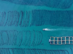 权威访谈|国民经济发展“蓝色支撑”稳中有进——访自然资源部海洋战略规划与经济司负责人