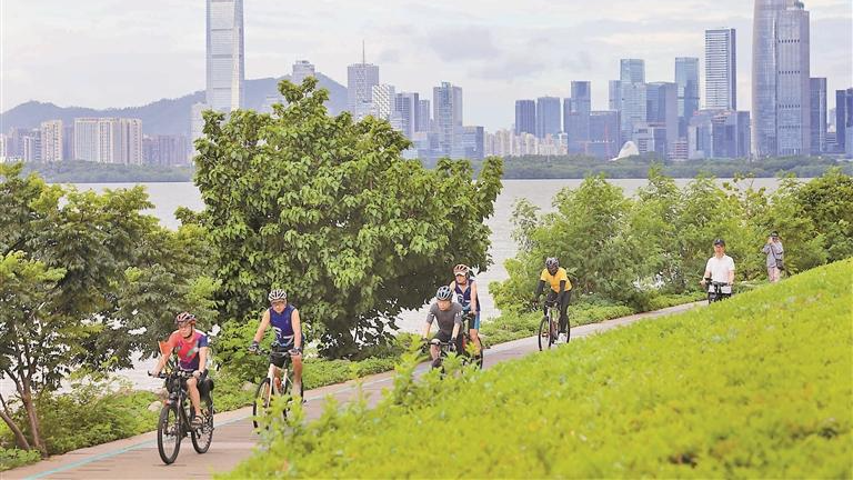 深圳公园里藏着另一场“全运会”