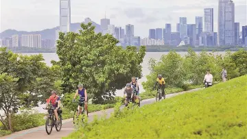 深圳公园里藏着另一场“全运会”