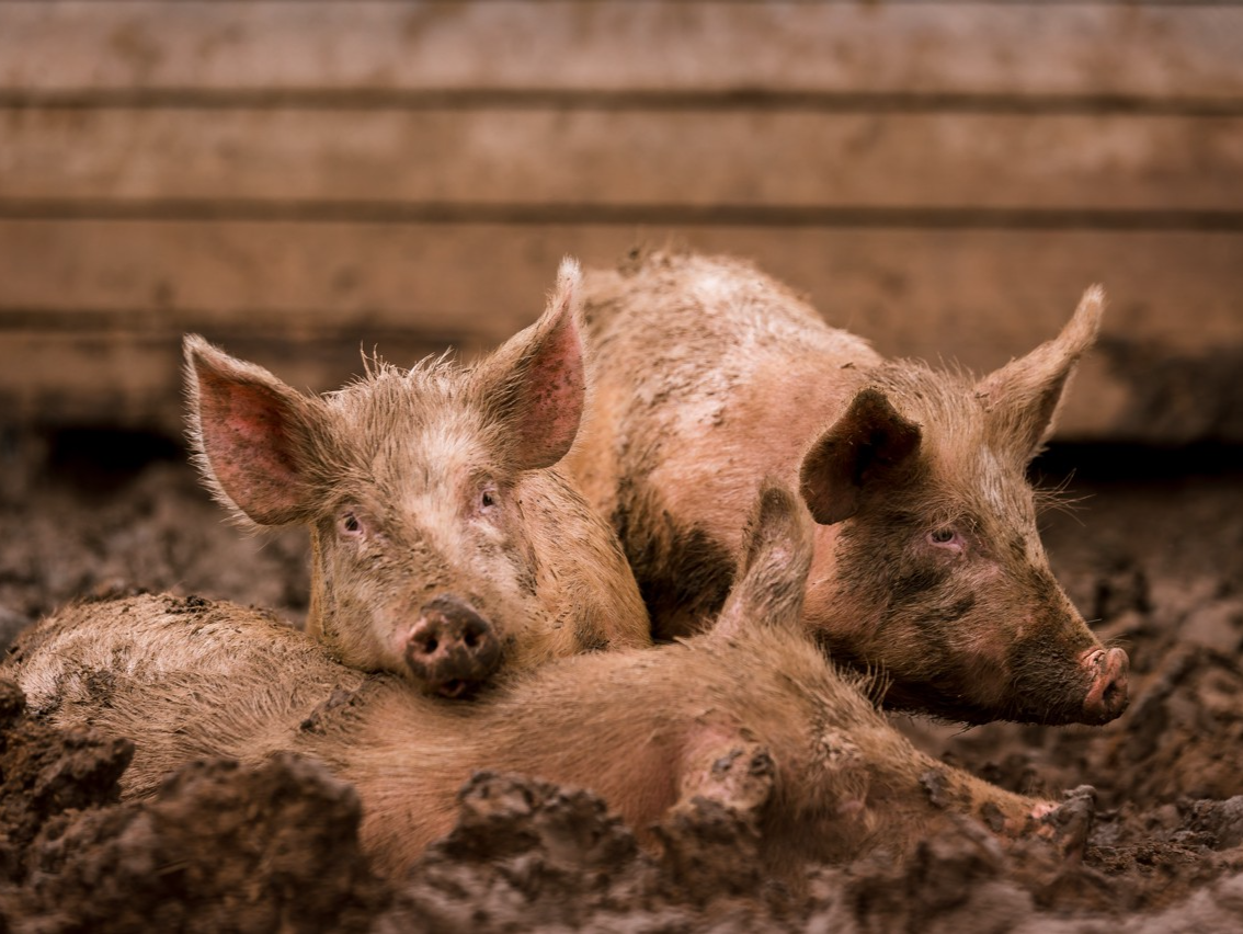 韩国暴发疫情！发布“严重”级危机警报