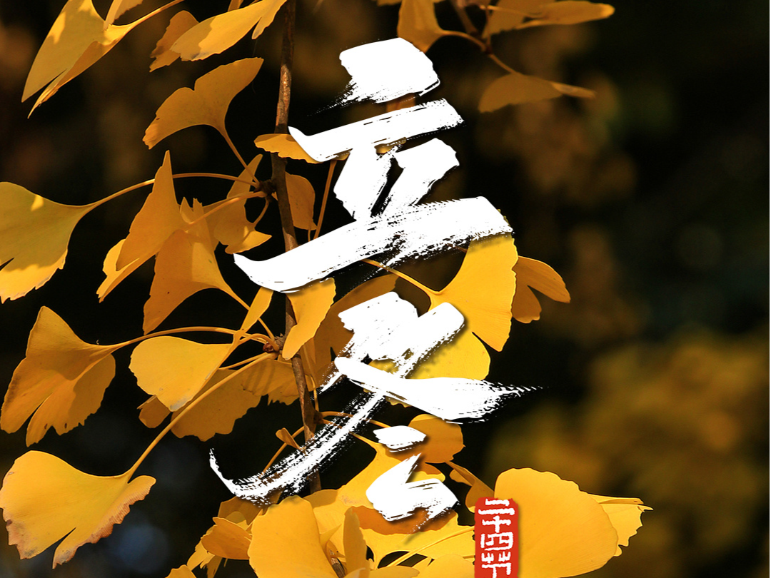 温度记 | 立冬过后深圳气温升至30℃！今日有雨，冷空气下周安排