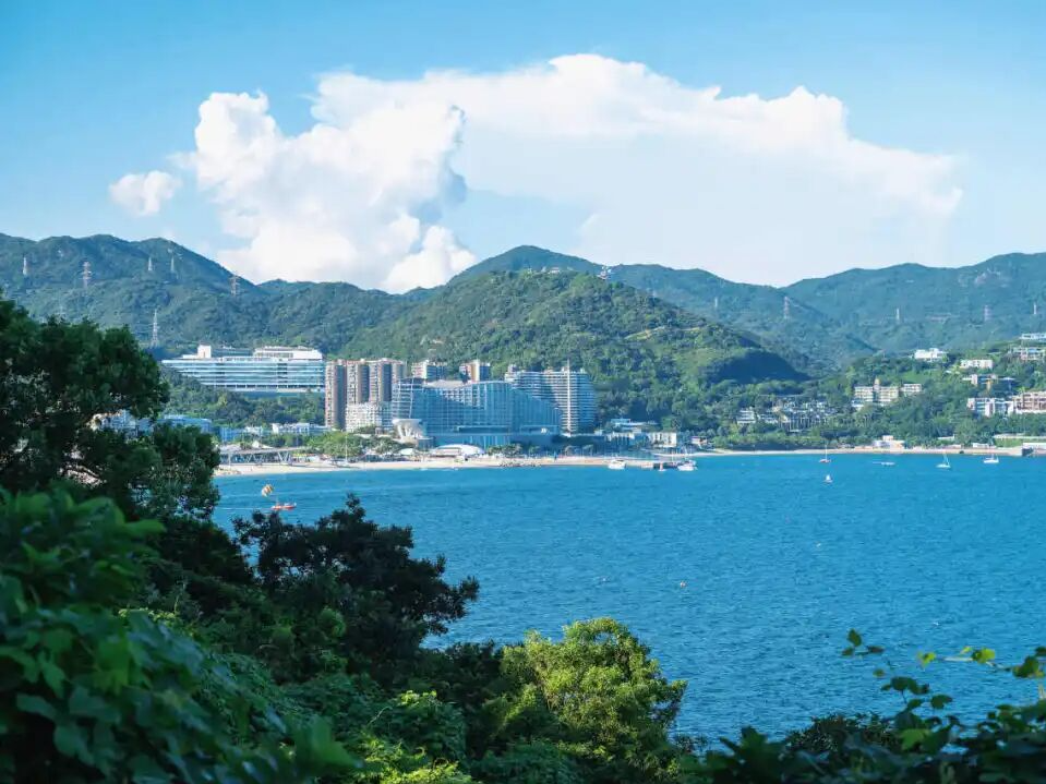 第七届深圳企业家日“同心赴山海·新质创未来”盐田政企交流活动举办