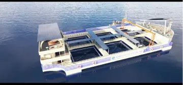 专访工程师徐珂珂：深海养殖装备实现突破抗台风、降成本推动产业化