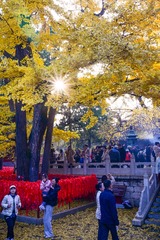 初冬京郊：斑斓画卷徐徐展开（1）